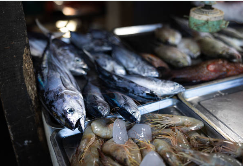 필리핀입국이트래블