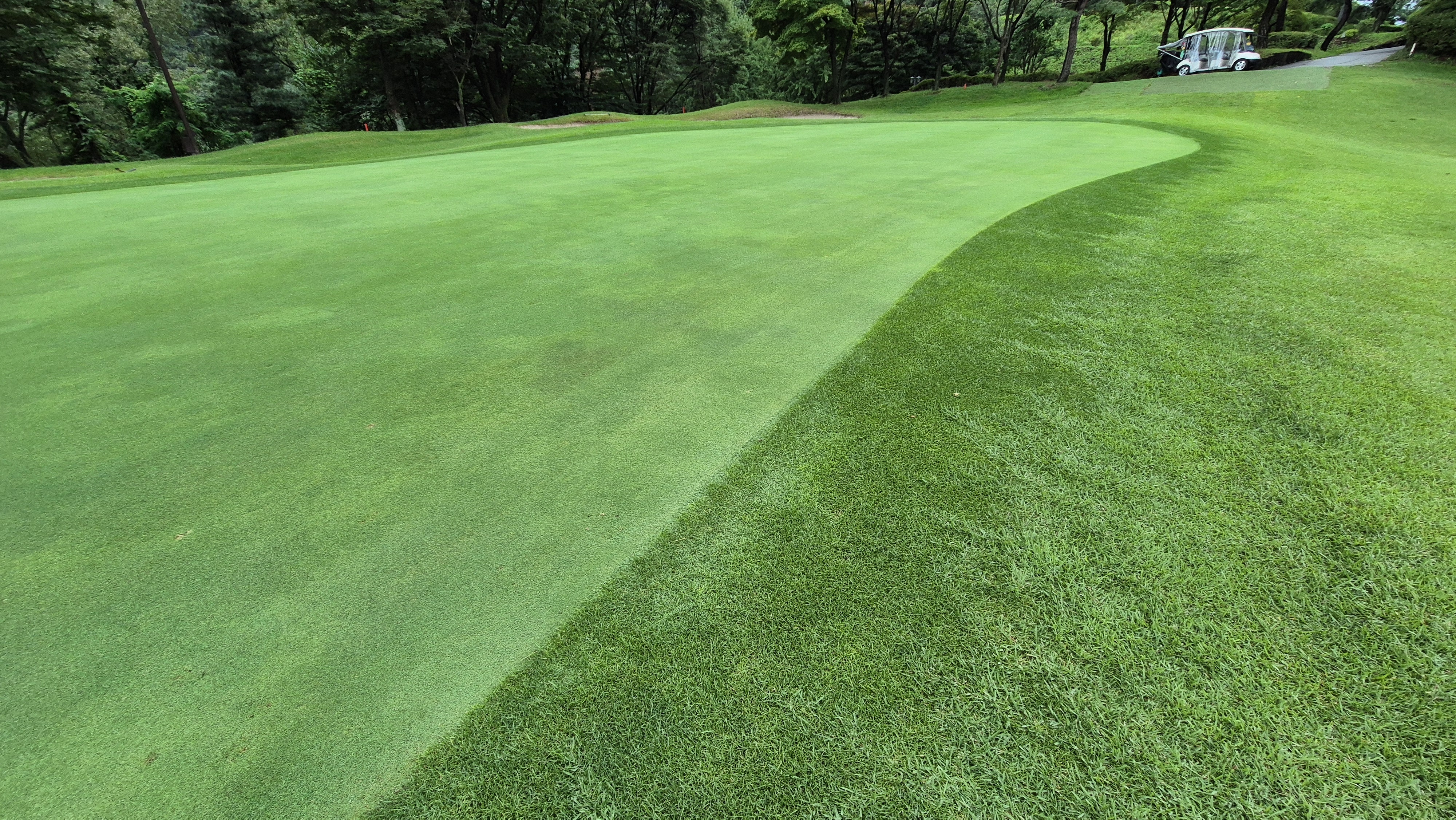 뉴서울cc 예술in-문화in 코스 라운드 후기