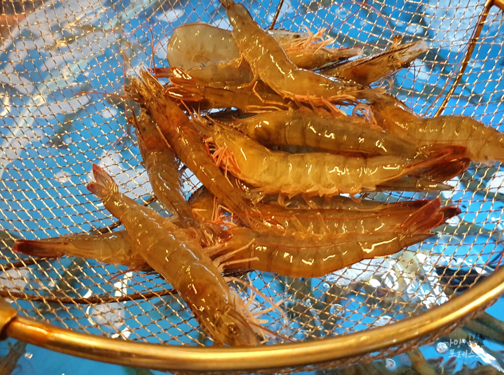 파주 총각네 수산 대하