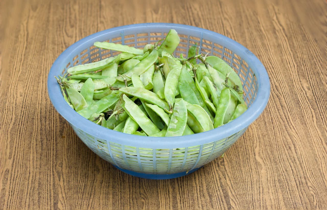 하지 날짜 24절기