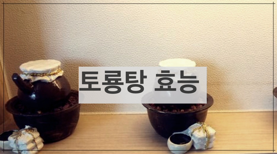 토룡탕 효능