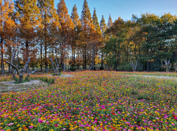 경북천년숲정원