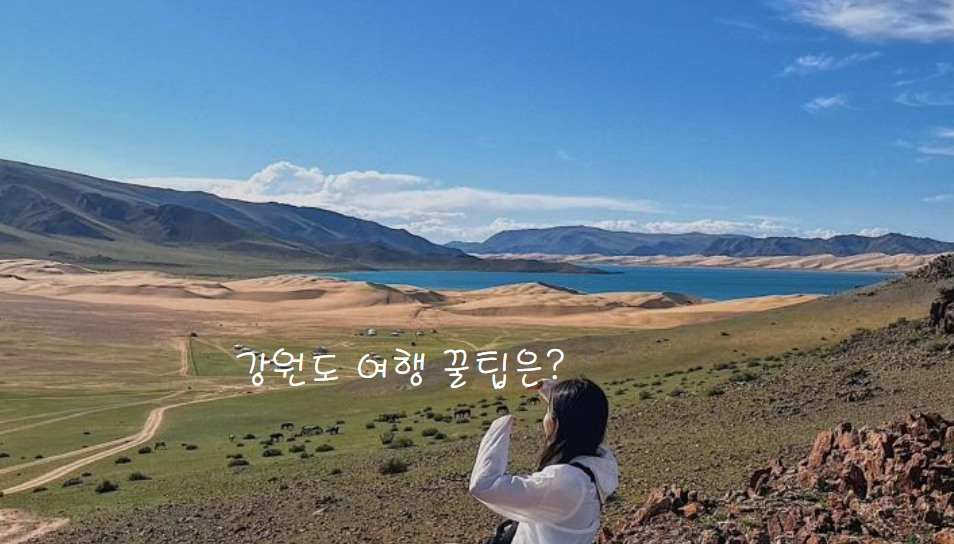 강원도 여행 꿀팁과 주의사항