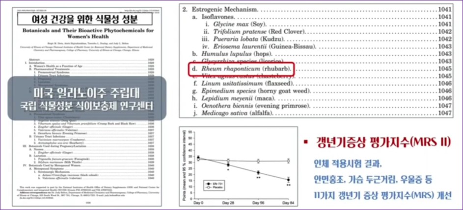 갱년기