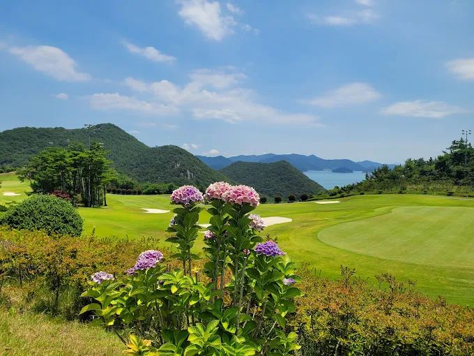 통영 동원로얄 CC 리조트 소개 및 이용방법