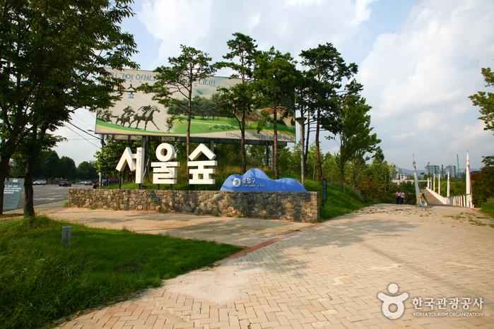 서울숲