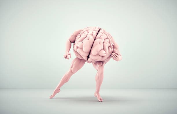 피드백 주고받기: 뇌를 단련시키는 소통 습관이란