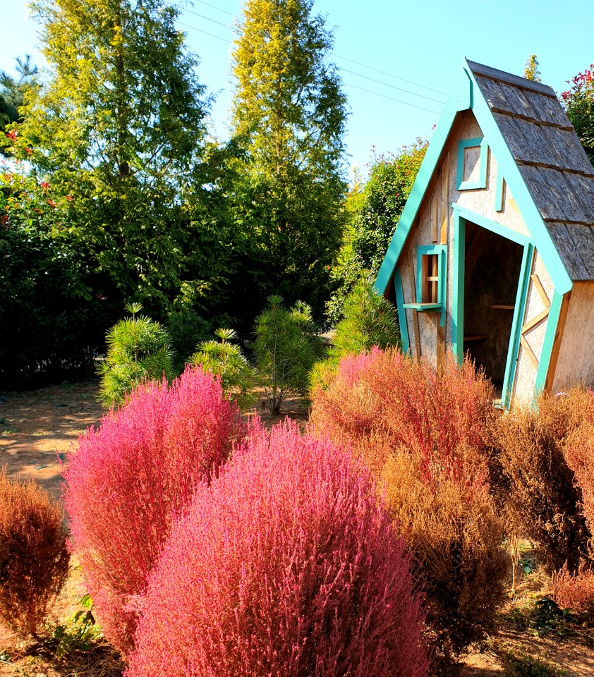 태안반도 추천여행지