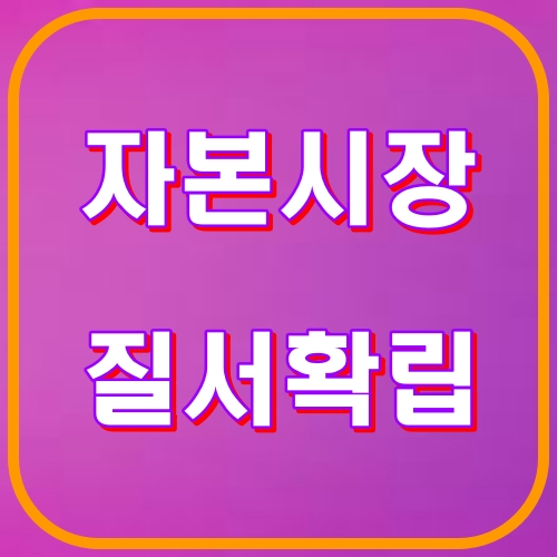 자본시장 질서확립