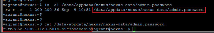cat /data/appdata/nexus/nexus-data/admin.password