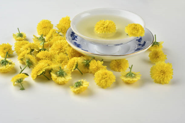 추분 가을국화차