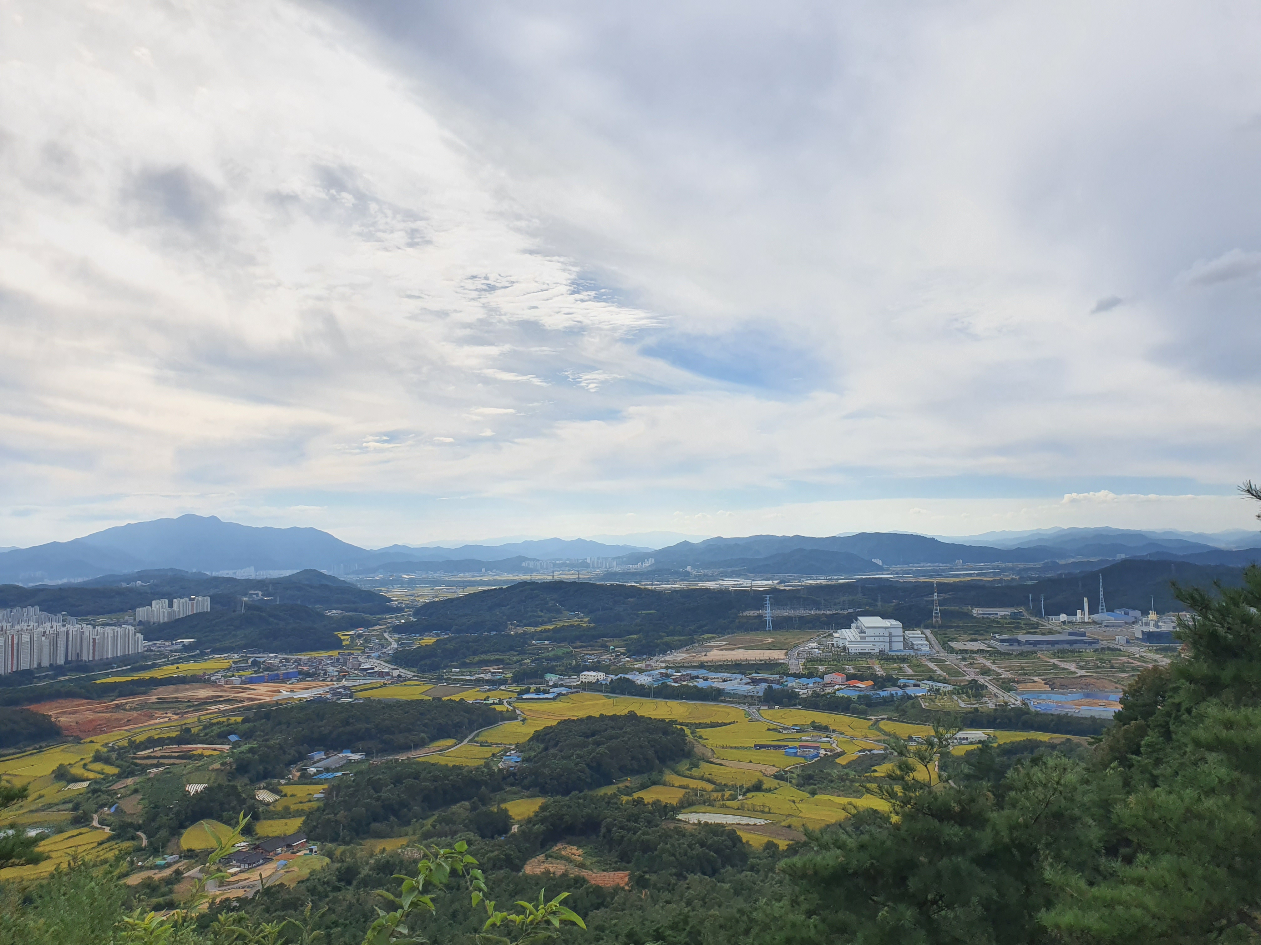 모노레일