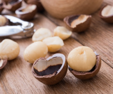 마카다미아, 혈관 건강과 피부 노화 방지에 좋은 이유