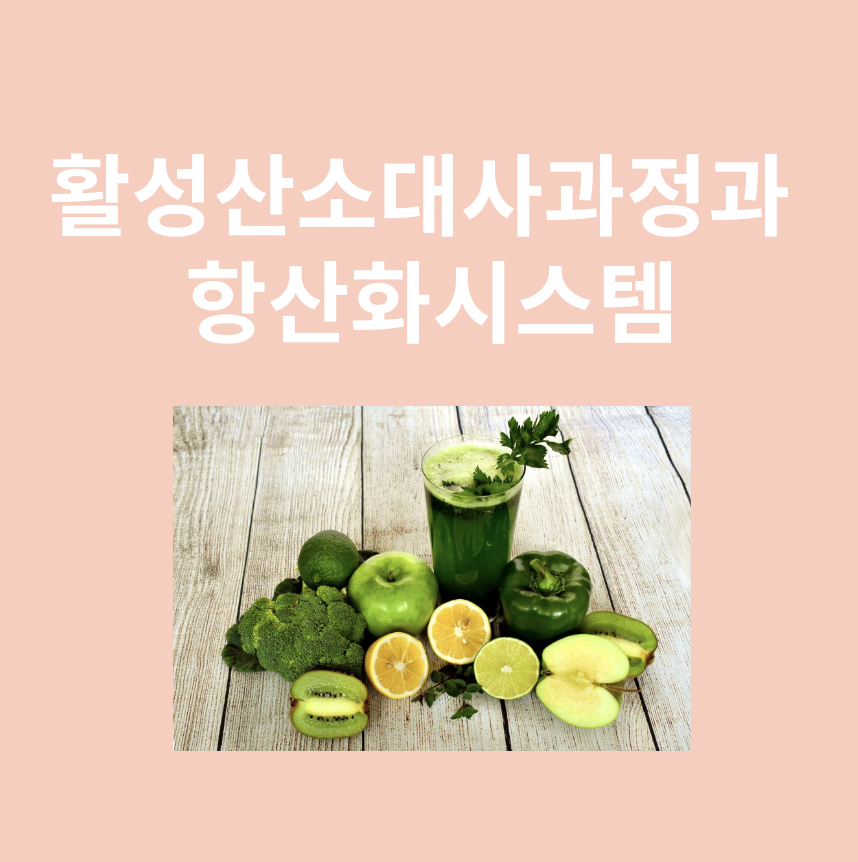 항산화와 관련된 이미지