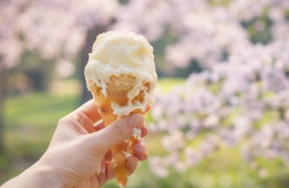 스프링 피버 뜻