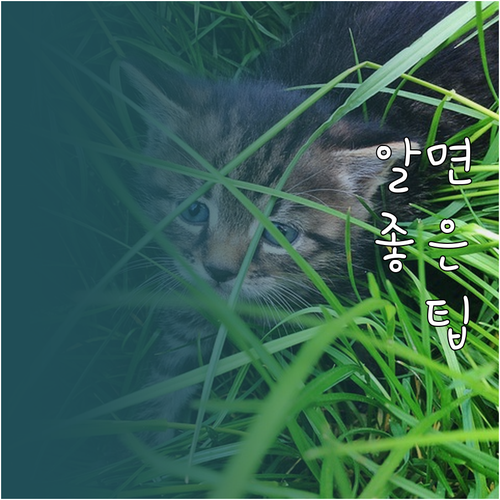 궁금했던 노후 자금: 필요액 계산, ..