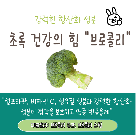 비염예방음식 추천 TOP5 "브로콜리"