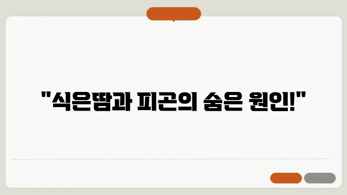 식은땀이 나고 기운이 없음 이것 때문