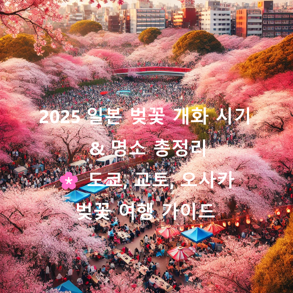 2025 일본 벚꽃 개화 시기 & 명소 총정리 🌸 도쿄, 교토, 오사카 벚꽃 여행 가이드