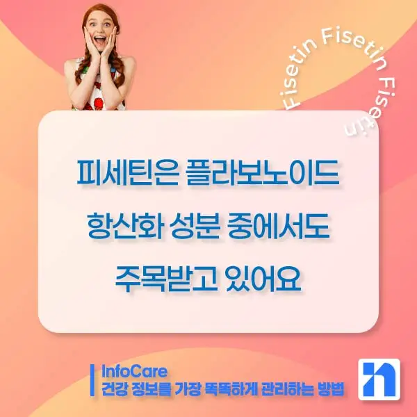 피세틴 효능 항산화 저속노화 노화방지 세놀리틱