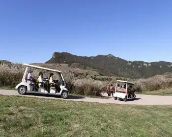 황매산 억새축제_16