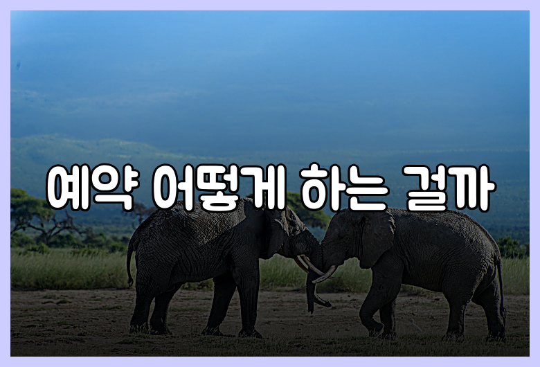 예약 어떻게 하는 걸까