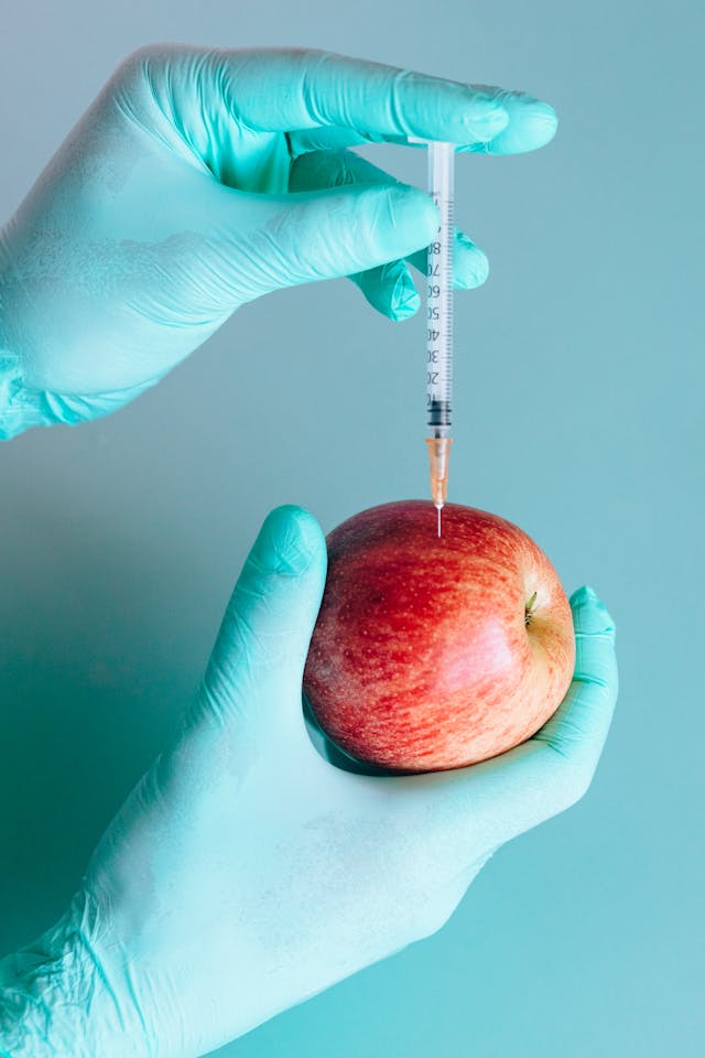 코로나19 검사 키트 구매 방법&amp;#44; 휴일지킴이 약국 찾기&amp;#44; 재유행 대비
