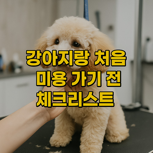 강아지랑-처음-미용-가기-전-꼭-알아야-할-체크리스트