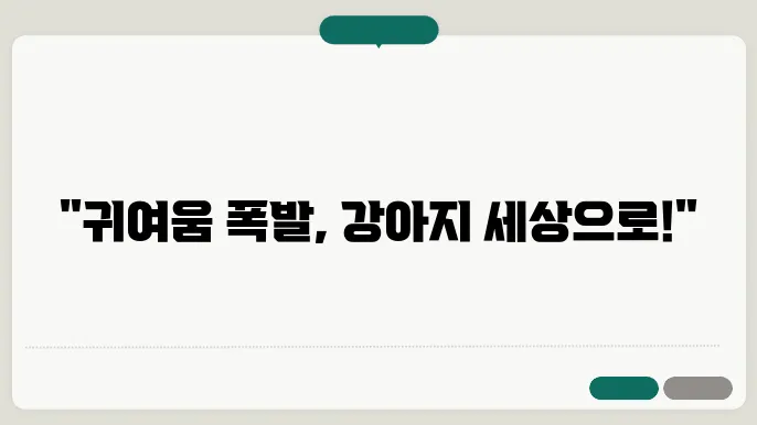 애견샵 추천! 귀여운 강아지 종류 총정리