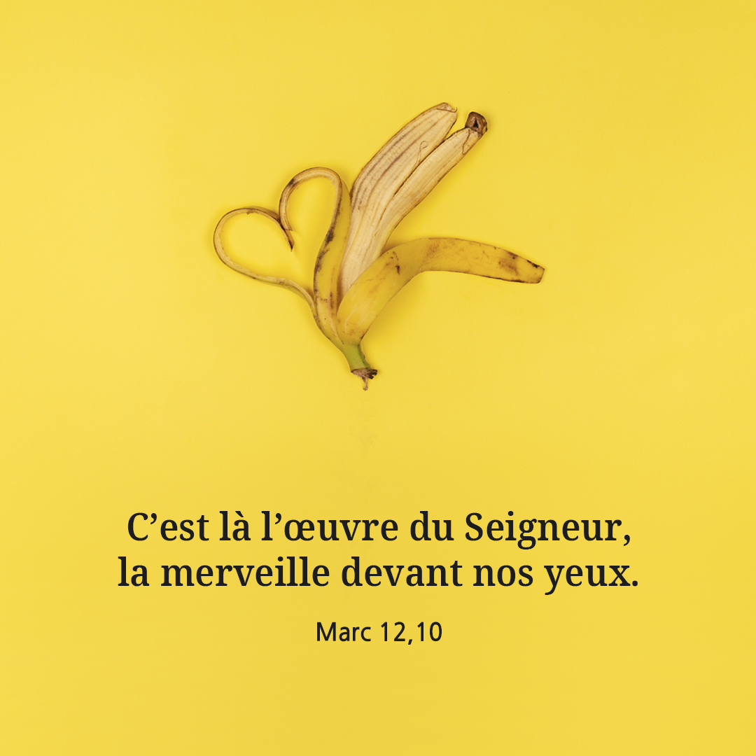 C&rsquo;est l&agrave; l&rsquo;&oelig;uvre du Seigneur&#44; la merveille devant nos yeux. (Marc 12&#44;10)