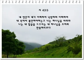 위로의 성경 말씀 치유의 말씀 50선_7