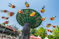 서울 가볼만한 곳 서울어린이대공원