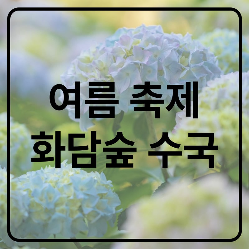 화담숲 여름 수국 축제