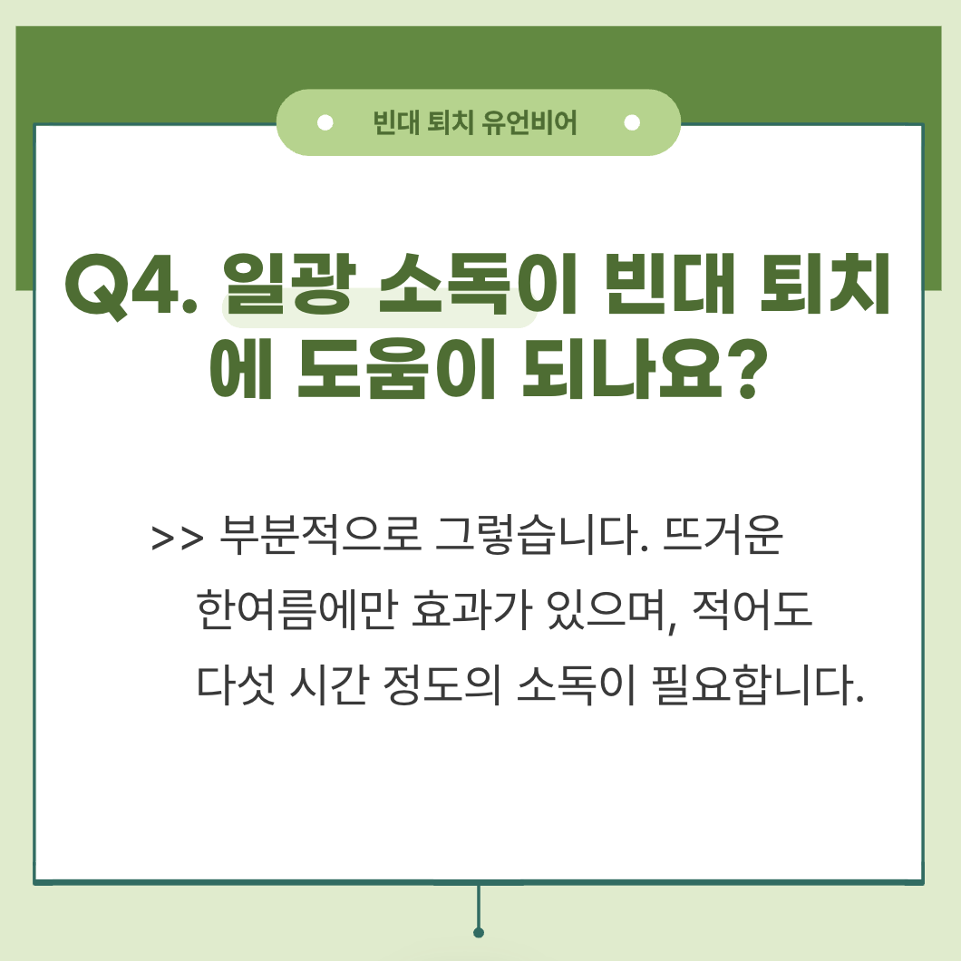 빈대 퇴치 방법 및 빈대 퇴치 유언비어(+2024)