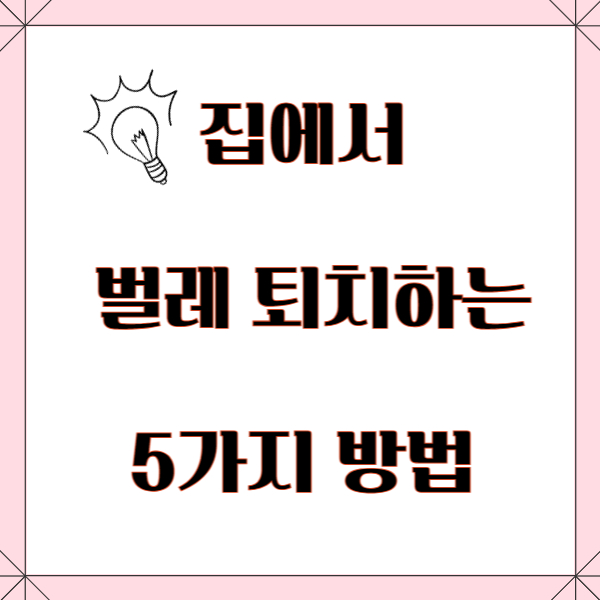 천연 벌레 퇴치 제 만드는 5가지 방법