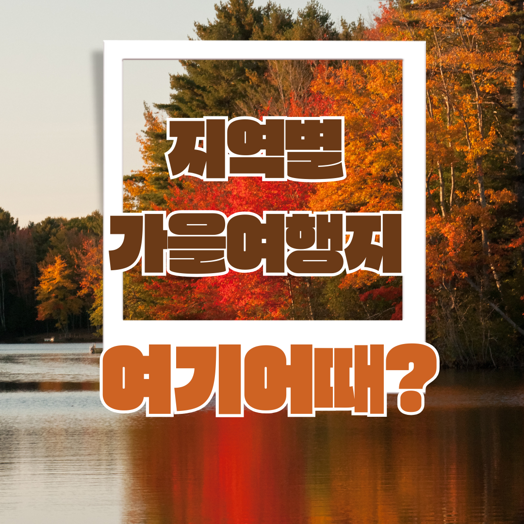 지역별 교통편 알아보기