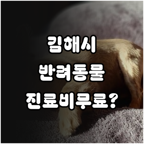 김해시 저소득층 반려동물 진료비 지원..