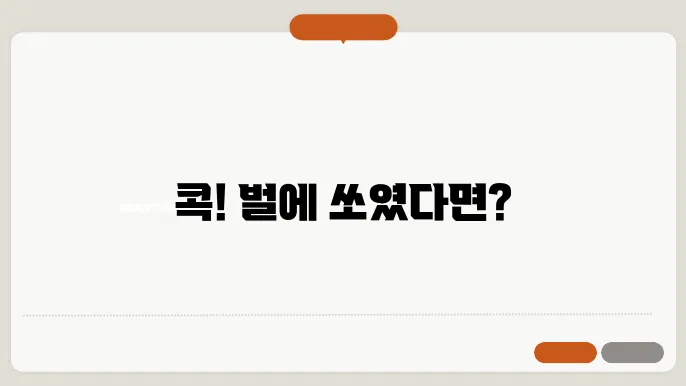 벌에 쏘였을 때 응급 처치 방법