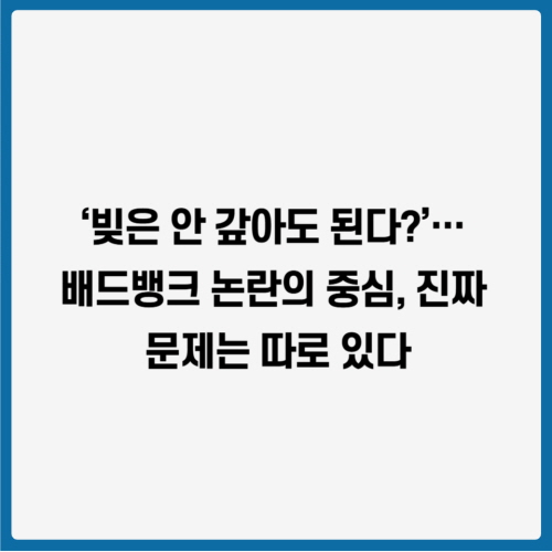 &lsquo;빚은 안 갚아도 된다?&rsquo;&hellip; 배드뱅크 논란의 중심, 진짜 문제는 따로 있다