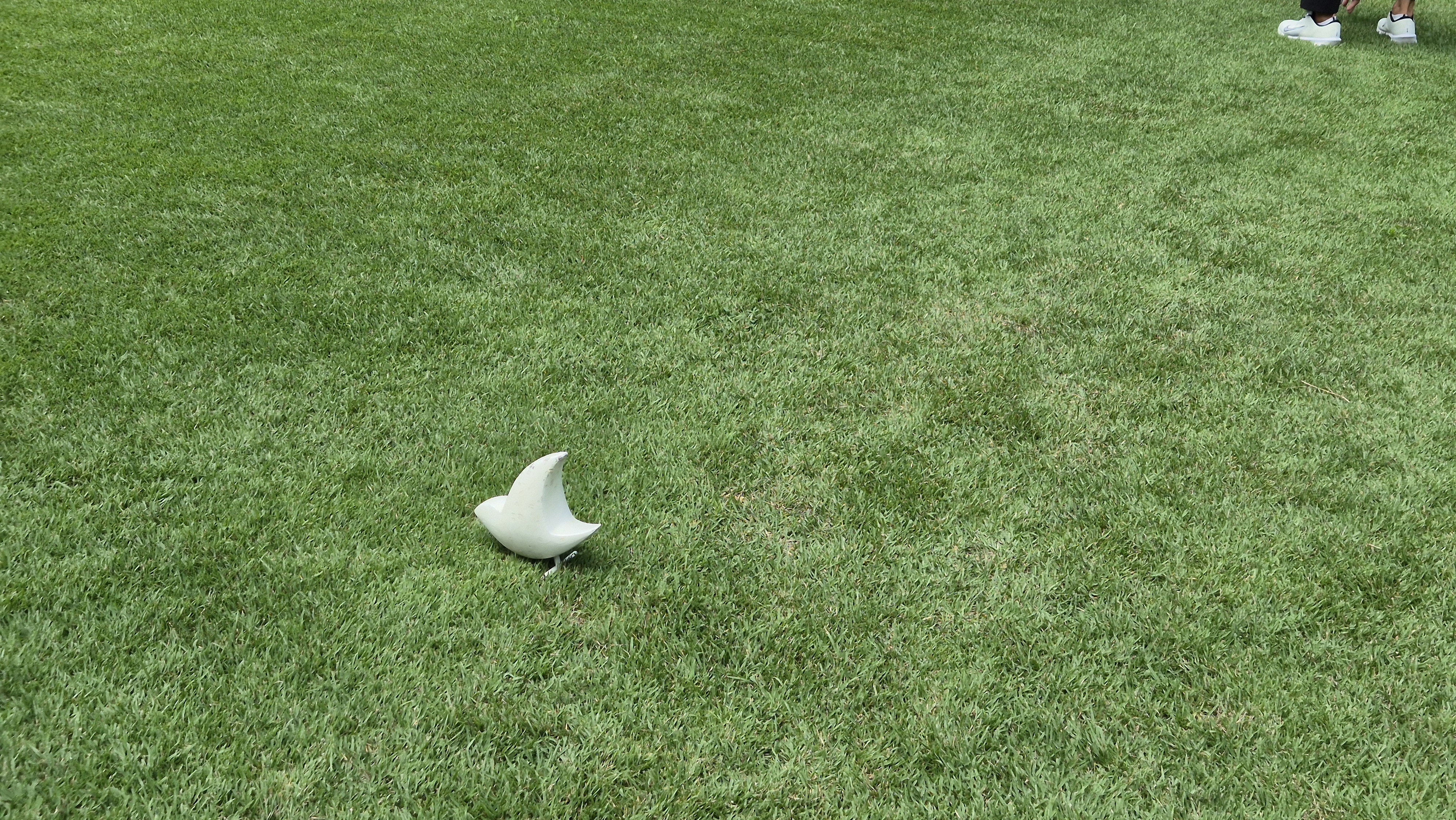 한성cc 오렌지-그린 코스 라운드 후기