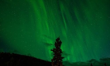 비만 단번에 극복하는 딱! 3가지 날씬 생활 수칙 아무도 모르는 포인트 알아보기
