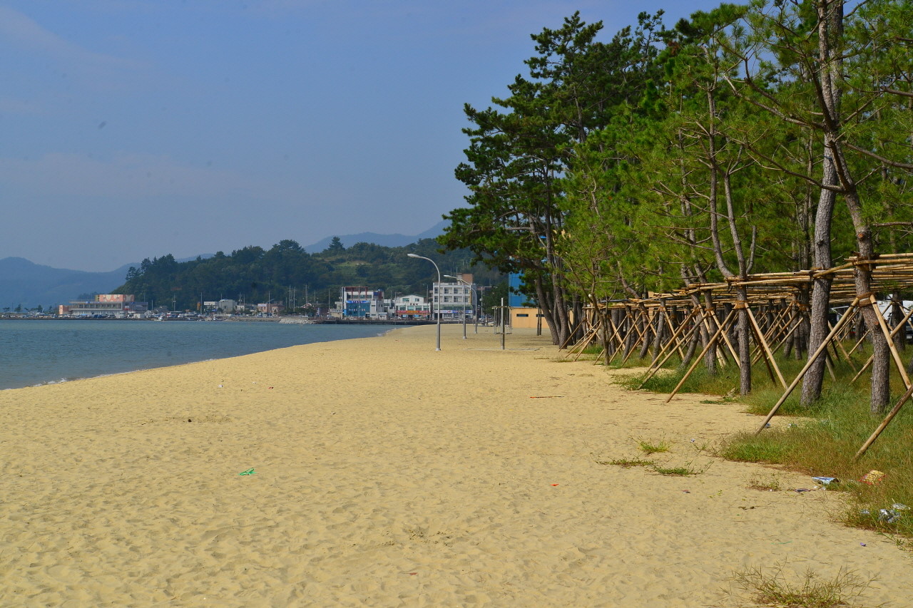 솔밭해변 백사장