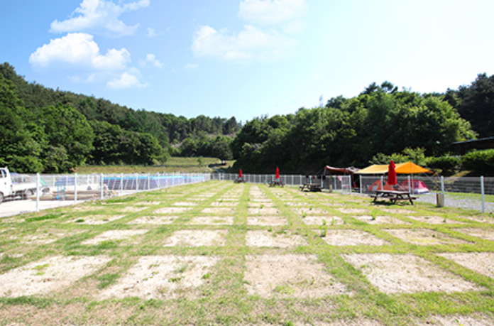 경기-가평에-링크독-애견파크-운동장-사진-입니다.