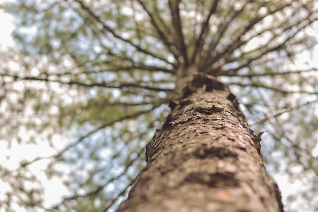 남이섬 입장료&middot;배시간&middot;주차정보 완벽 안내
