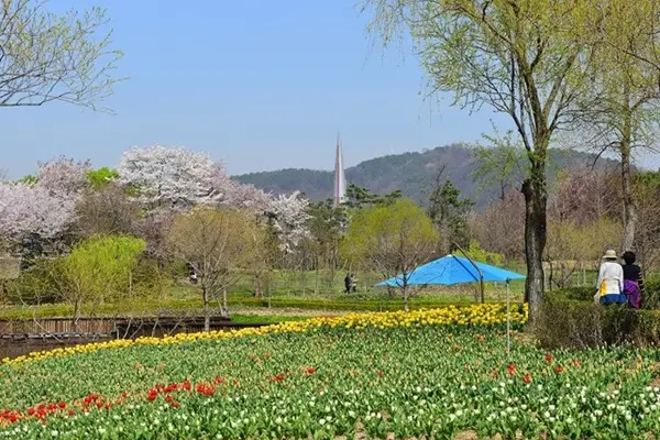 충남 봄나들이 가볼만한 곳4