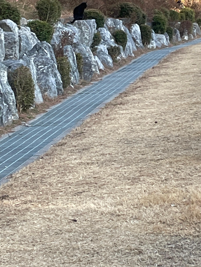 생산적인 하루를 만드는 운동 습관