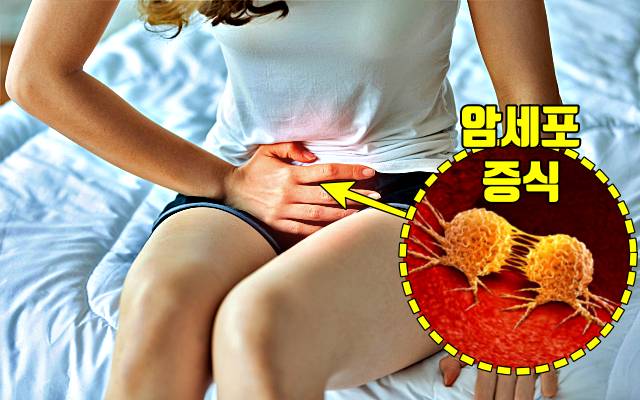 질출혈 자궁암 증상 원인,자궁경부암 초기증상
