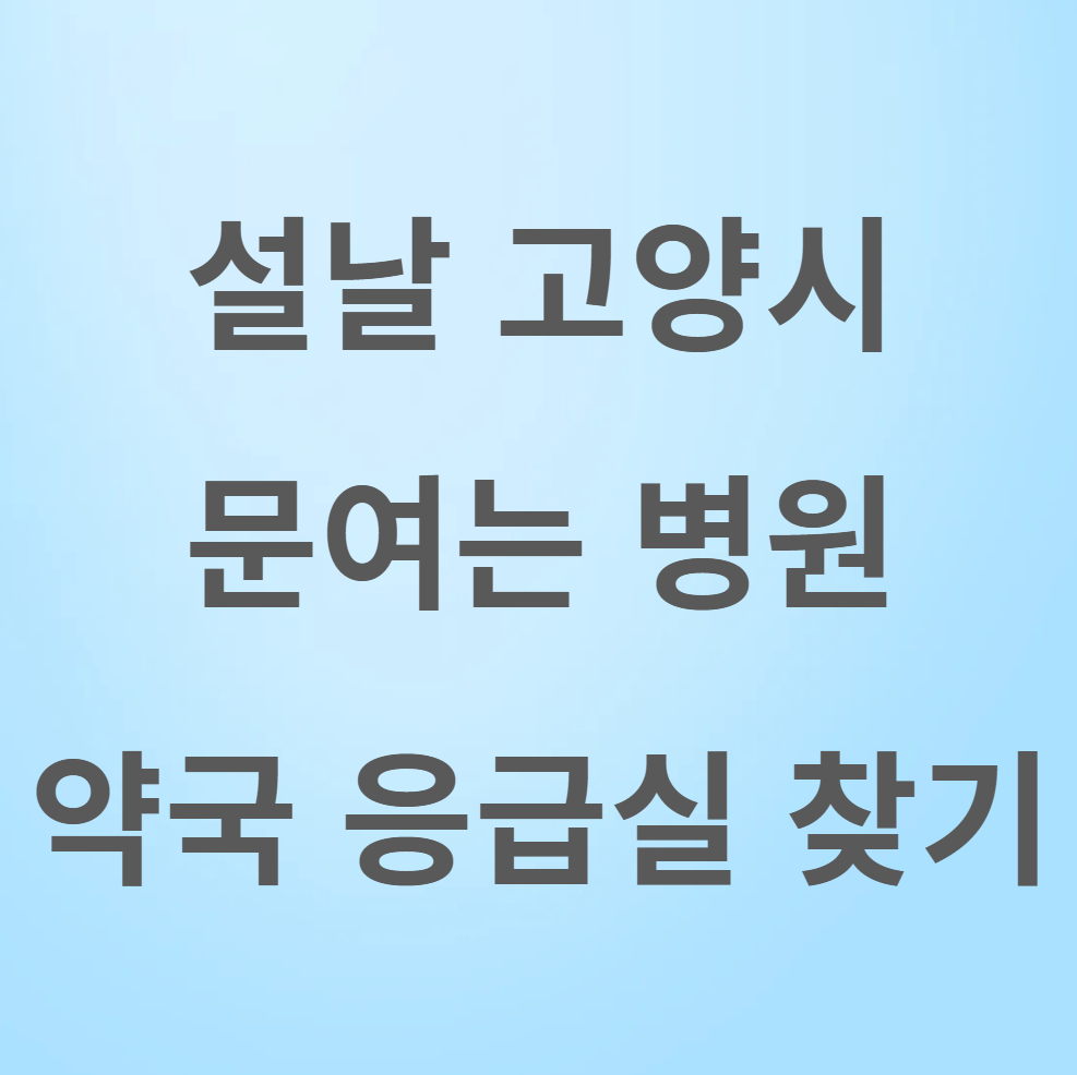설날 고양시 병원 약국 응급실