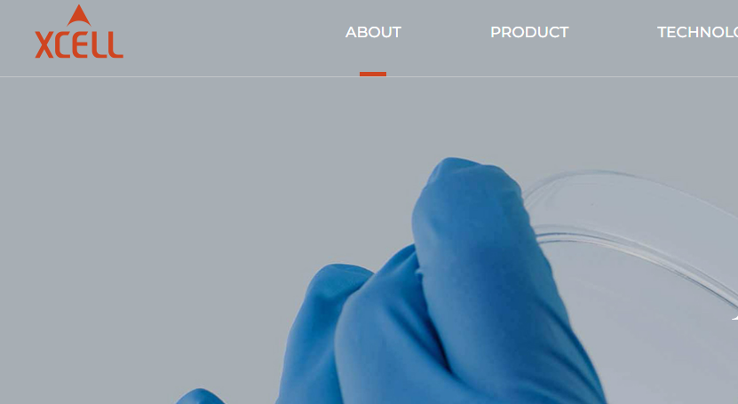 2024년 7월 공모주 청약 일정 기업 분석