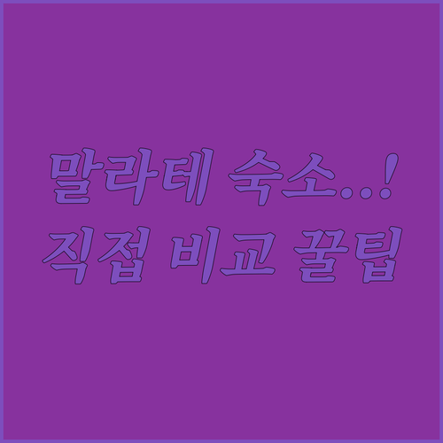 직접 비교한 마닐라 말라테 호텔 베스..